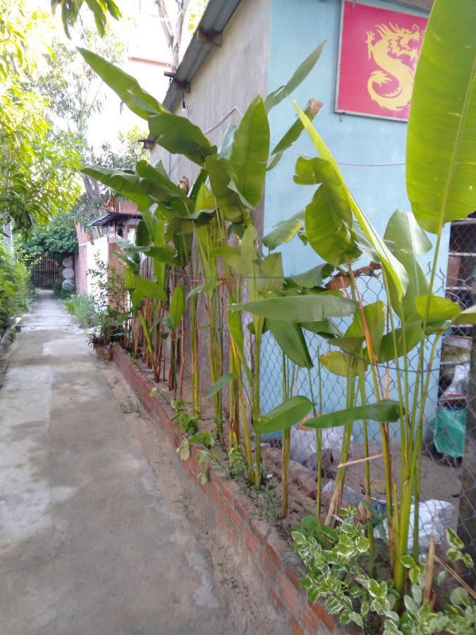 Pink Beach Homestay Хой Ан Екстериор снимка