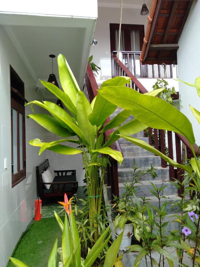Pink Beach Homestay Хой Ан Екстериор снимка